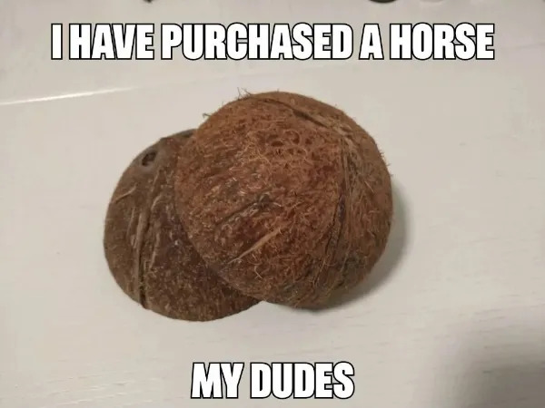 Funny Memes (23 pics)