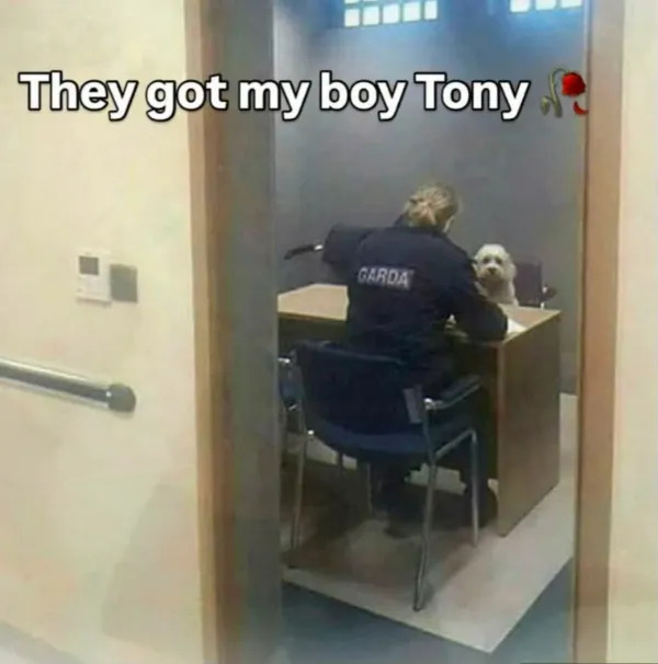 Funny Memes (23 pics)