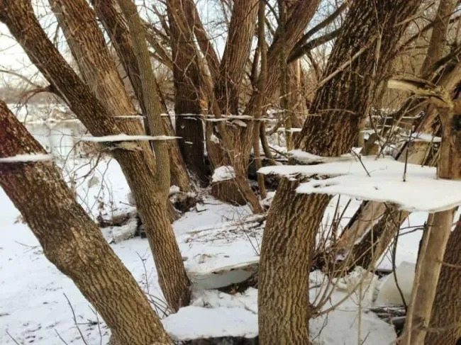 Glitches In The Matrix (21 pics)
