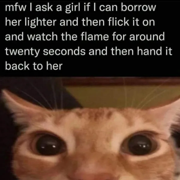 Random Memes (24 pics)
