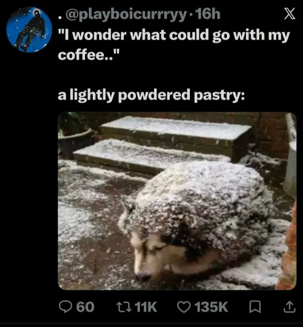 Random Memes (24 pics)