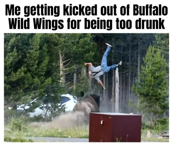 Random Memes (24 pics)
