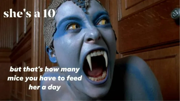 Random Memes (24 pics)