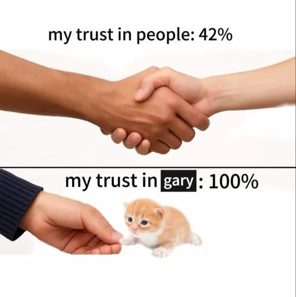 Random Memes (24 pics)