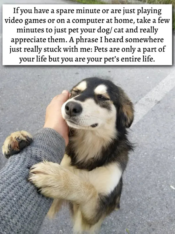 Useful Tips (25 pics)