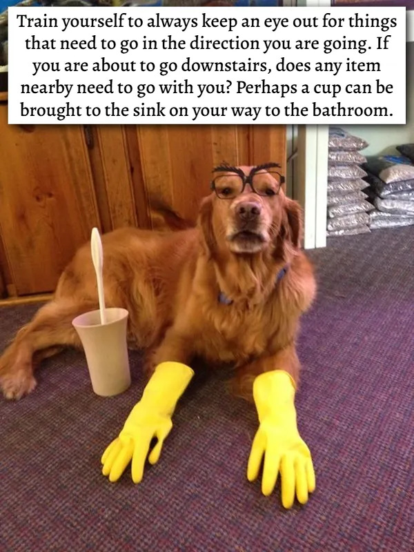 Useful Tips (25 pics)