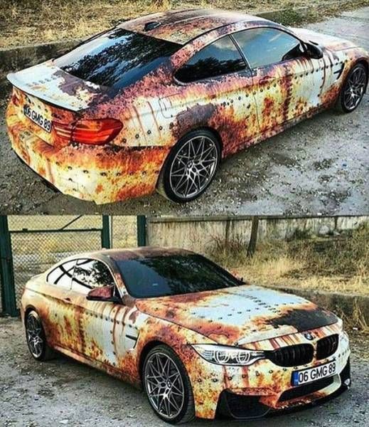 Daily Pictures. Part 1 (82 pics)