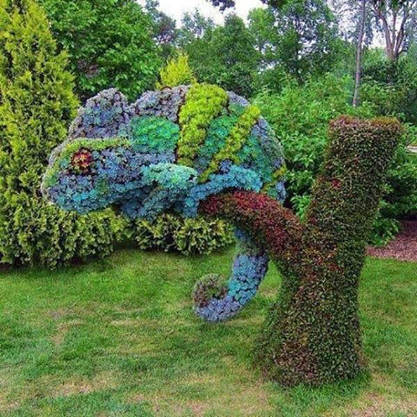 Daily Pictures. Part 2 (81 pics)