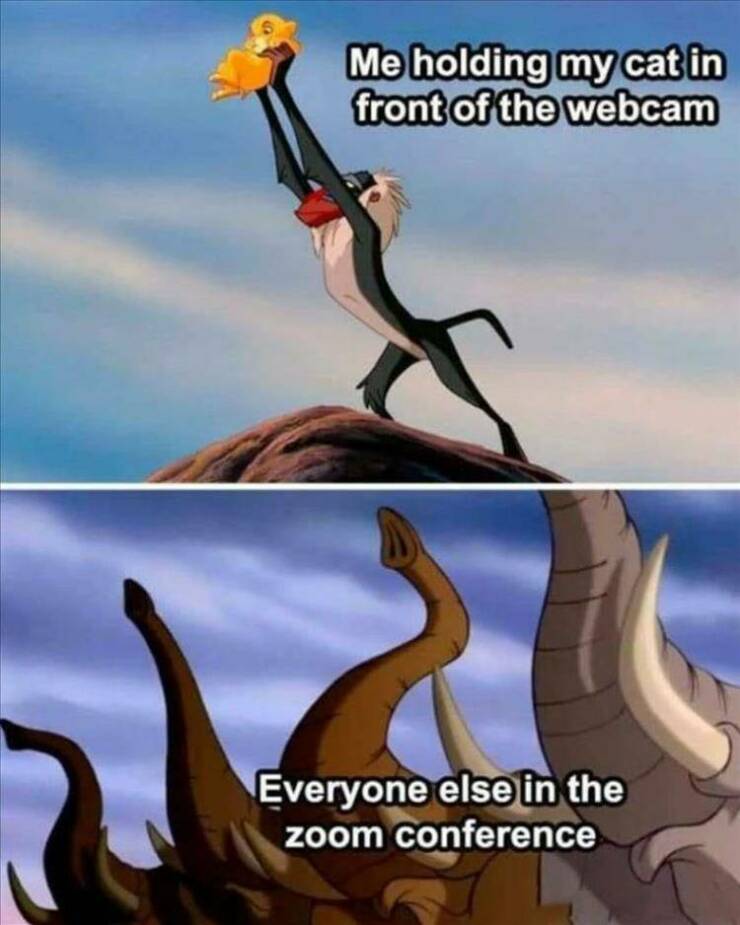 Daily Pictures. Part 2 (81 pics)
