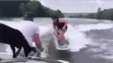 Acid GIFs, July 21 (25 gifs)