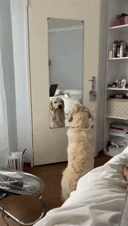 Acid GIFs, July 21 (25 gifs)