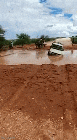 Acid GIFs, July 21 (25 gifs)