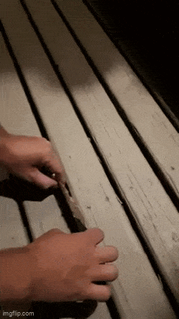 Acid GIFs, July 21 (25 gifs)
