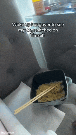Acid GIFs, July 21 (25 gifs)