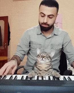 Acid GIFs, July 21 (25 gifs)