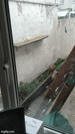 Acid GIFs, July 21 (25 gifs)
