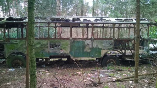 Unexpected Finds In The Forest (19 pics) Unexpected Finds In The Forest (19 pics)
