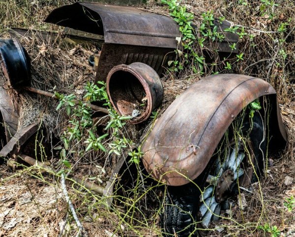 Unexpected Finds In The Forest (19 pics) Unexpected Finds In The Forest (19 pics)
