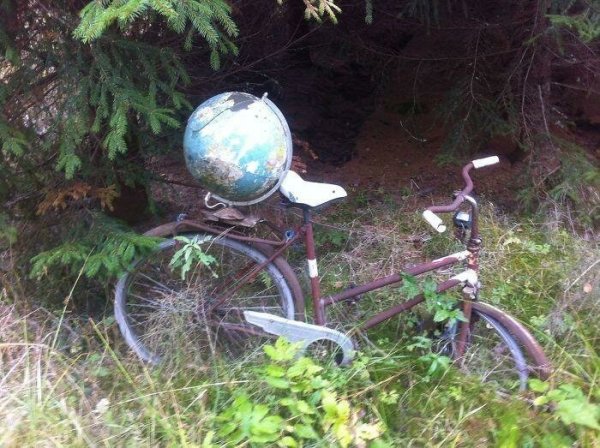 Unexpected Finds In The Forest (19 pics) Unexpected Finds In The Forest (19 pics)