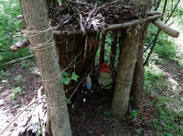 Unexpected Finds In The Forest (19 pics) Unexpected Finds In The Forest (19 pics)