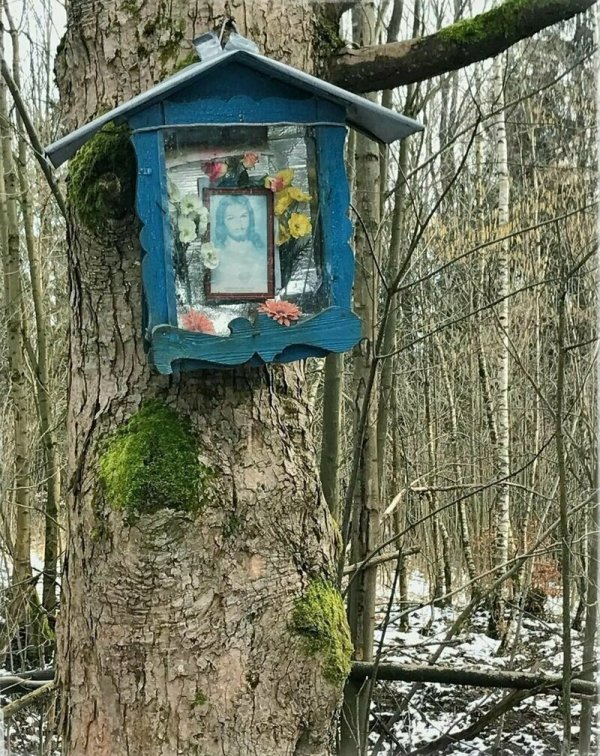 Unexpected Finds In The Forest (19 pics) Unexpected Finds In The Forest (19 pics)