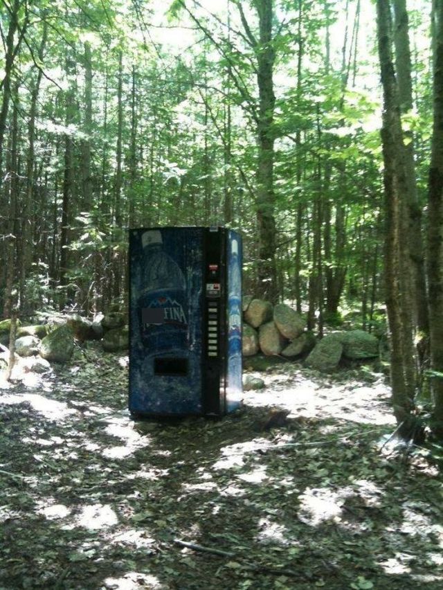 Unexpected Finds In The Forest (19 pics) Unexpected Finds In The Forest (19 pics)