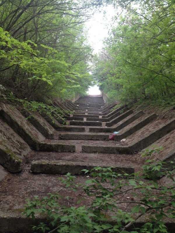 Unexpected Finds In The Forest (19 pics) Unexpected Finds In The Forest (19 pics)