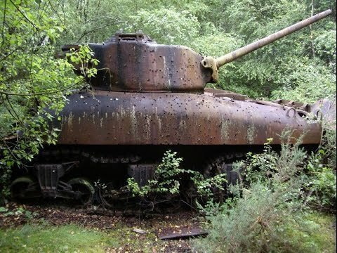 Unexpected Finds In The Forest (19 pics) Unexpected Finds In The Forest (19 pics)