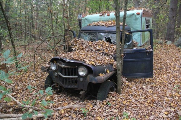 Unexpected Finds In The Forest (19 pics) Unexpected Finds In The Forest (19 pics)