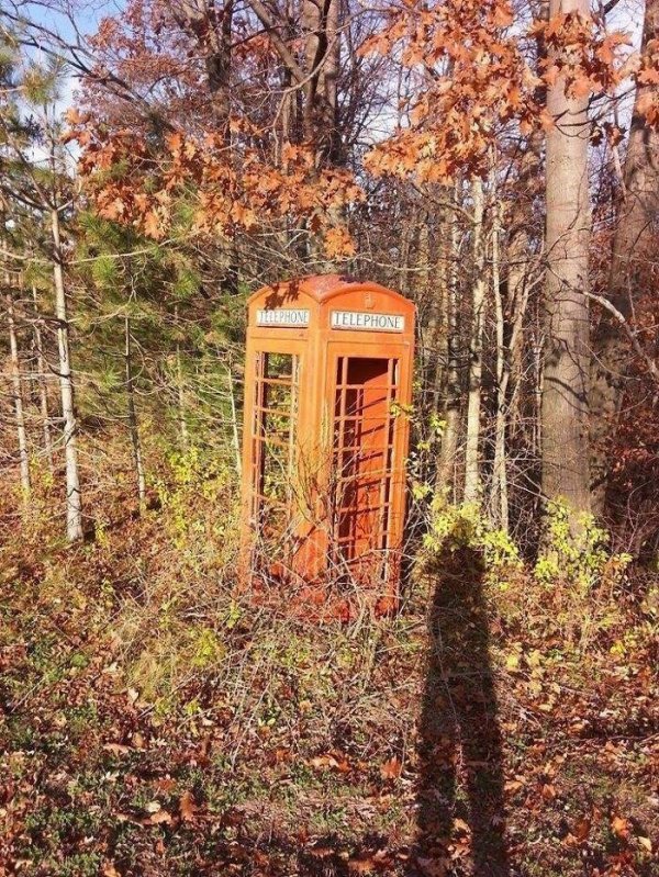 Unexpected Finds In The Forest (19 pics) Unexpected Finds In The Forest (19 pics)