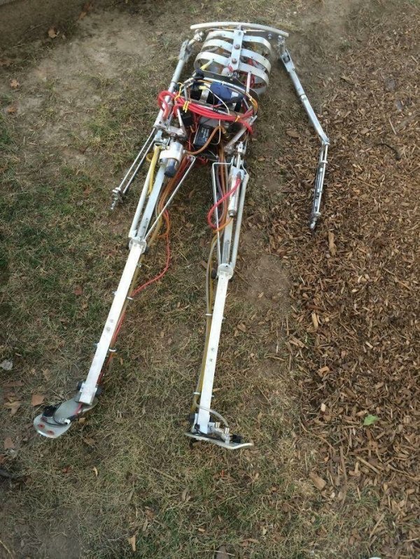 Unexpected Finds In The Forest (19 pics) Unexpected Finds In The Forest (19 pics)