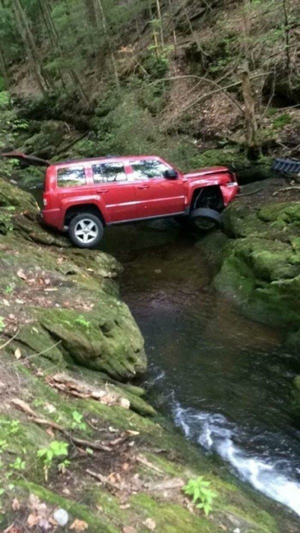 Unexpected Finds In The Forest (19 pics) Unexpected Finds In The Forest (19 pics)