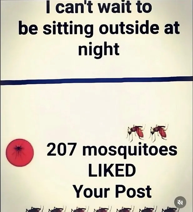 Random Memes (22 pics)