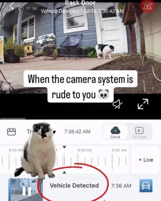 Random Memes (22 pics)