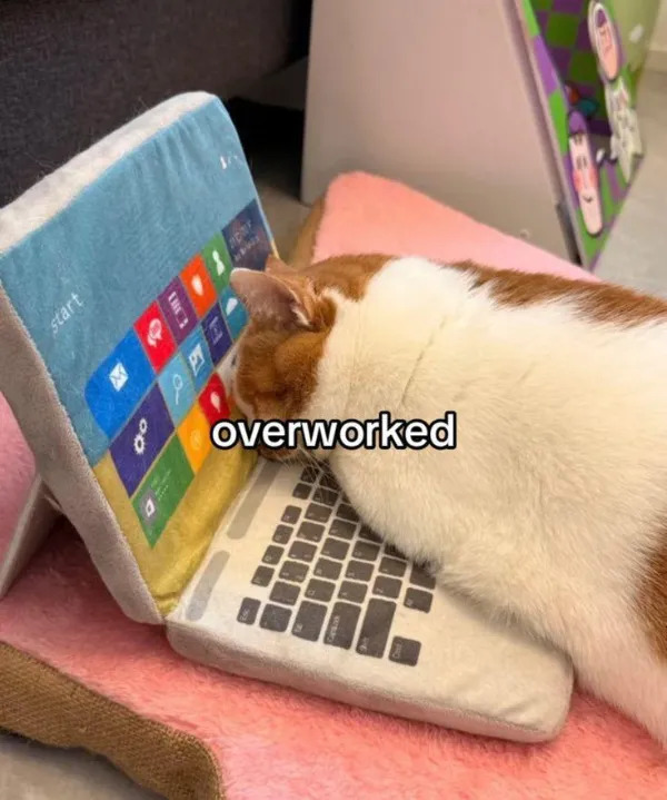 Work Memes (25 pics)