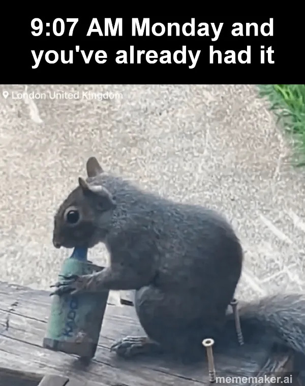 Work Memes (25 pics)