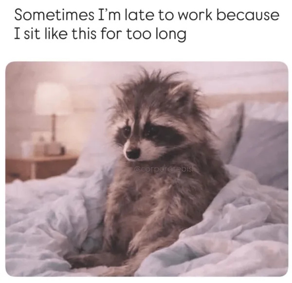 Work Memes (25 pics)