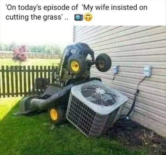 Daily Pictures. Part 2 (79 pics)