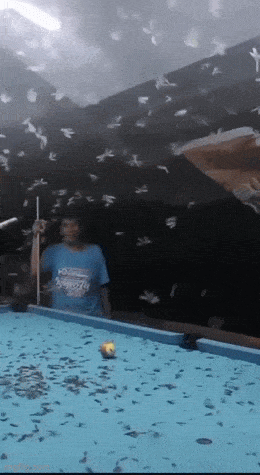 Acid GIFs, July 22 (25 gifs)
