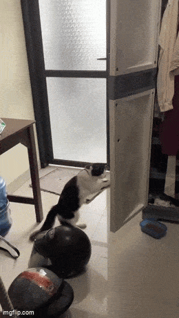 Acid GIFs, July 22 (25 gifs)