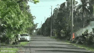 Acid GIFs, July 22 (25 gifs)