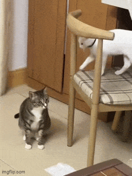 Acid GIFs, July 22 (25 gifs)