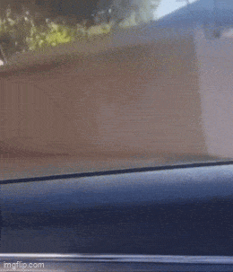 Acid GIFs, July 22 (25 gifs)