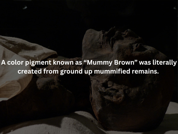 Creepy Facts (15 pics)