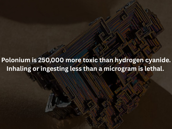 Creepy Facts (15 pics)