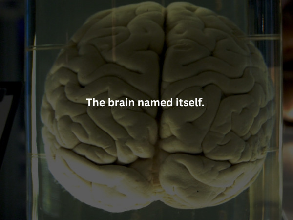 Creepy Facts (15 pics)