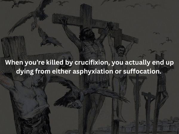 Creepy Facts (15 pics)
