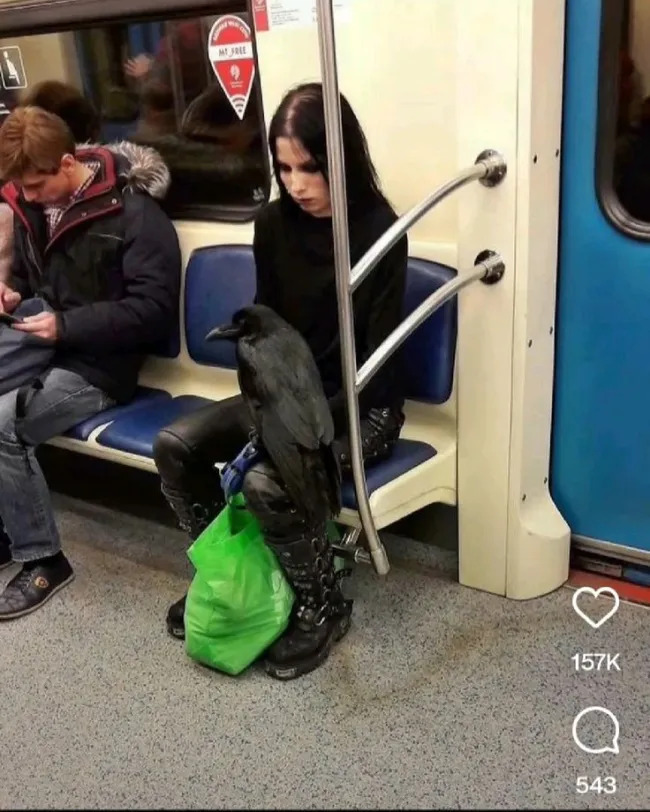 Strange People On Public Transport (19 pics)