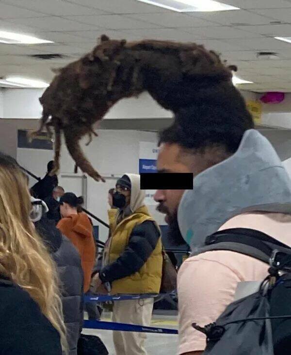Awful Haircuts (25 pics) Awful Haircuts (25 pics)