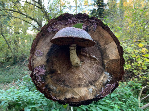 Photos For Perfectionists (21 pics)